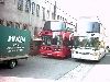 Click here to see the picture (040402_serikova_back.jpg)