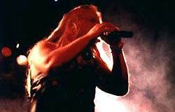 070299_henne3