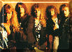 Chameleon members