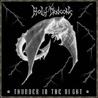Thunder in the Night -by Dragonight Agency