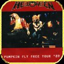 Pumpkin Fly Free Tour 89
