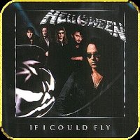 If I Could Fly