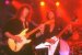 Live Picture 043