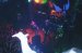 Live Picture 083