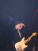 Live Picture 087