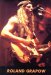 Live Picture 176