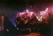 Live Picture 192