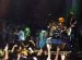 Live Picture 305