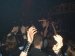 Live Picture 339