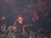 Live Picture 343