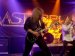 Live Picture 344