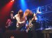 Live Picture 375