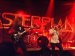 Live Picture 383