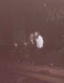 Live Picture 390