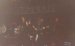 Live Picture 392