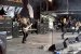 Live Picture 497