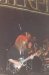 Live Picture 543