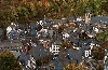 Click here to see the picture (monschau161001_02.jpg)