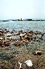 Click here to see the picture (crete220501_08_georgioupolis.jpg)