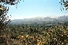 Click here to see the picture (_crete280501_02_near_vrysses.jpg)