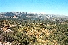 Click here to see the picture (_crete290501_02_near_vrysses.jpg)