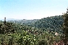 Click here to see the picture (crete040601_01_between_northcoast_topolia.jpg)
