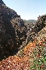 Click here to see the picture (crete040601_03_topolia.jpg)