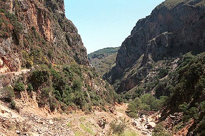 crete040601_06_topolia