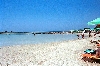 Click here to see the picture (crete040601_17_elafonisi.jpg)
