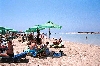 Click here to see the picture (crete040601_19_elafonisi.jpg)