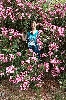 Click here to see the picture (crete040601_35_near_platanos_oleander_marlies.jpg)