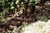 Click here to see the picture (crete040601_36_near_platanos.jpg)