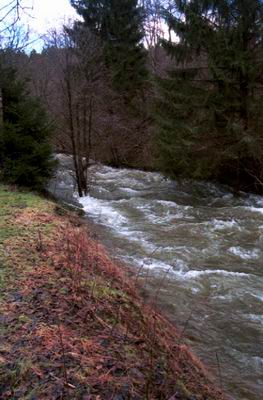 camping0102_highwater_02
