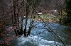 Click here to see the picture (camping0102_highwater_10.jpg)