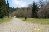 Click here to see the picture (camping0402_09_camping.jpg)