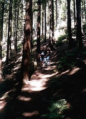 camping0602c_hiking