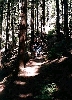 Click here to see the picture (camping0602c_hiking.jpg)