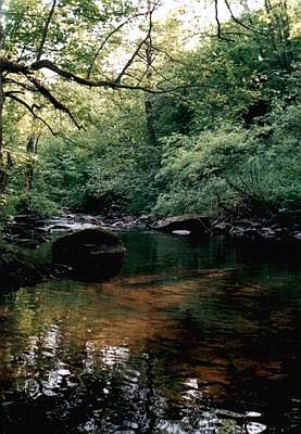 camping0602c_perlebach