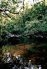 Click here to see the picture (camping0602c_perlebach.jpg)