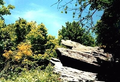 camping0602c_rock