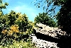 Click here to see the picture (camping0602c_rock.jpg)