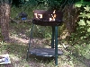 Click here to see the picture (camping0702_bbq.jpg)