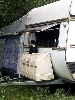 Click here to see the picture (camping0802_robin2.jpg)