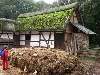 Click here to see the picture (kommern250802_openairmuseum_17.jpg)