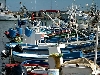 Click here to see the picture (spain220902_09_estepona.jpg)