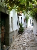 Click here to see the picture (spain220902_32_castellar.jpg)