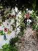Click here to see the picture (spain220902_35_castellar.jpg)