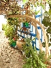 Click here to see the picture (spain220902_36_castellar.jpg)