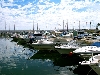 Click here to see the picture (spain250902_10_marbella.jpg)