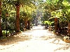 Click here to see the picture (spain260902_01_algeciras_park.jpg)